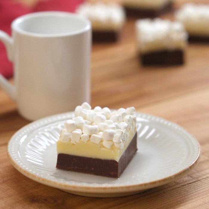 Chocolate Fudge Brownie